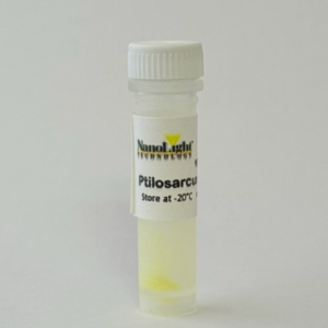 Product image of Ptilosarcus GFP
