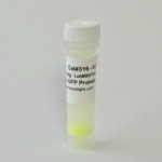 Product picture of Renilla reniformis GFP