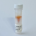 Product picture of e-Coelenterazine-F